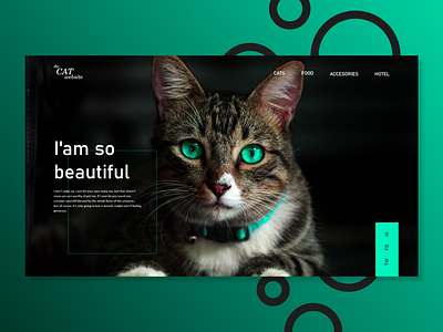 The Cat Website