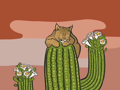 Bobcat on a cactus