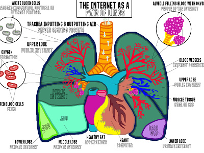 Internet as a Pair of Lungs Drawing adobe photoshop illustration