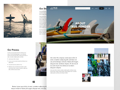 Snow & surf ecomm | About about page clean concept ecommerce landing page layout mountain ocean snowboard surfboards surfing ui ux ui design web design website