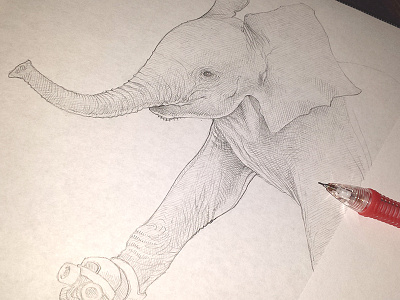 Need For Speed - Progress elephant illustration pencil progress skates sketch