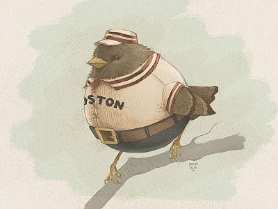 Boston Brownbirds baseball bird childrens book cute drawing illustration old vintage