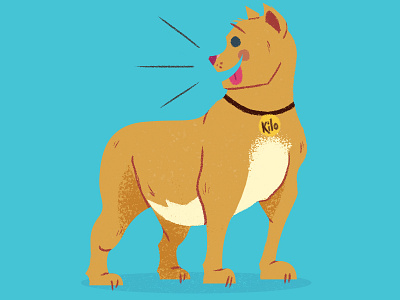 Kilo childrens book dog illustration texture