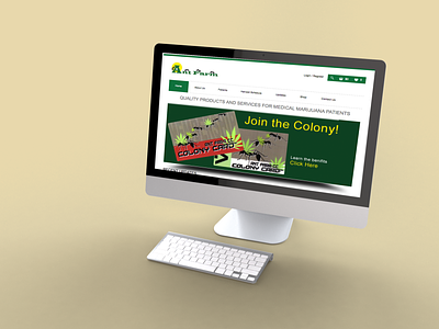 Ant Farm Compassion Club Website Homepage branding design website
