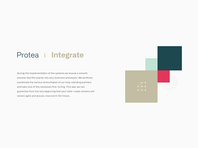 Feature Illustration - Protea Networks branding digital branding geometrical illustration simple typography