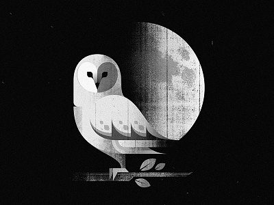 Barn Owl barn owl bird black illustration moon nature owl texture vector white