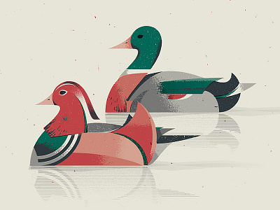 Ducks bird duck green illustration orange print texture wildlife