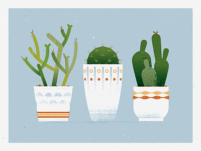 Cacti cactus illustration nature plant pot print succulent vector