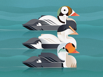 Good duck goes fishing by Yorga on Dribbble