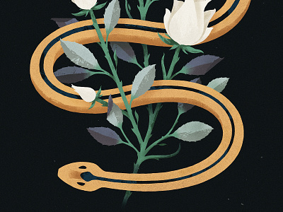 Snake flower illustration illustrator nature photoshop rose serpent snake texture thorns vector