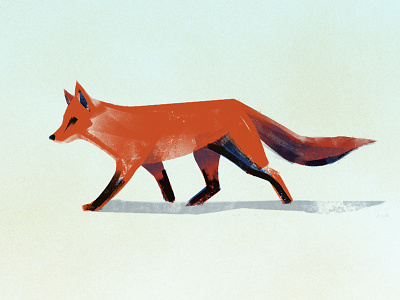 Fox Sketch brush design digital painting fox illustration illustrator procreate red fox sketch texture winter wip