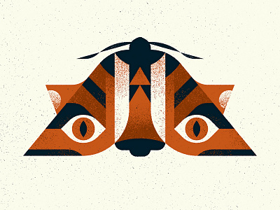 "Tiger" Moth animal design illustration illustrator insect moth nature photoshop specimen texture tiger totem vector