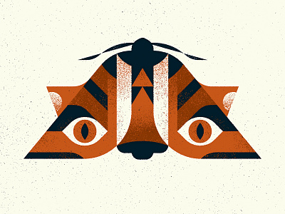 "Tiger" Moth animal design illustration illustrator insect moth nature photoshop specimen texture tiger totem vector