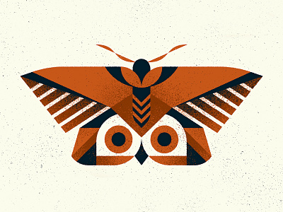 "Owl" Moth animal design illustration illustrator insect mimicry moth nature owl photoshop texture totem vector