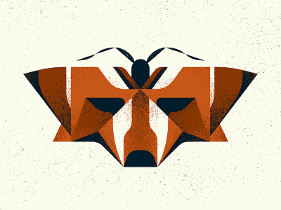 "Fox" Moth animal design fox illustration illustrator insect mimicry moth nature photoshop specimen texture totem vector