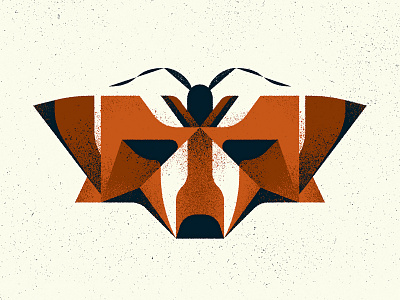 "Fox" Moth animal design fox illustration illustrator insect mimicry moth nature photoshop specimen texture totem vector