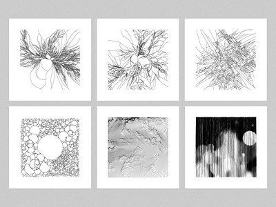 natural systems / variations 2d code generative generative art illustration procedural