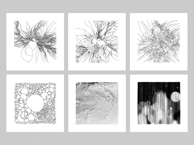 natural systems / variations