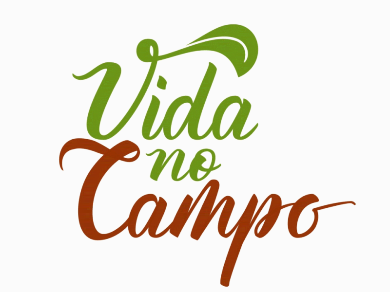 Animated Lettering - Vida no Campo