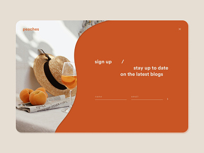 Travel Blog Website Sign Up Page blog branding dailyui design figma figma design landing page peaches popup sign up page signup travel travel blog typography ui ux web website