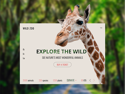 Zoo  Web