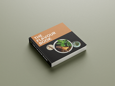 The Flavour Book book branding branding concept