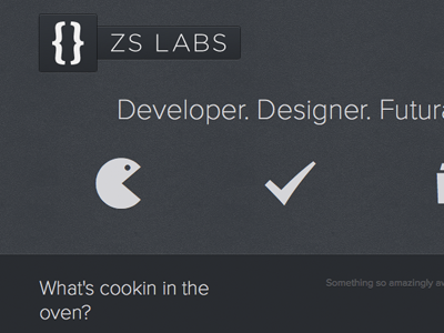 ZS Labs css3 font face html5 launched proxima nova responsive