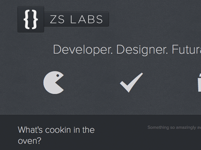 ZS Labs