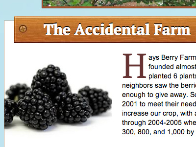 Hays Berry Farms