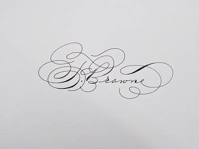 Signature? calligraphy hand drawn spencerian