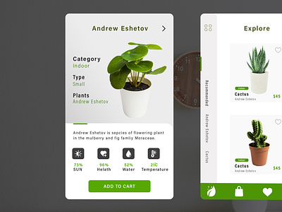 Plant App branding graphic design ui