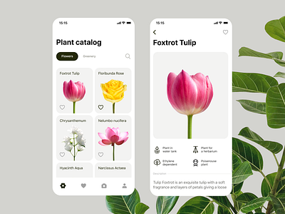 Plants App for Florists app botanica bouquet catalog clean ui cut flowers database design florist flourish flower flowers gardening green iconography ios mobile plant plants uidesign