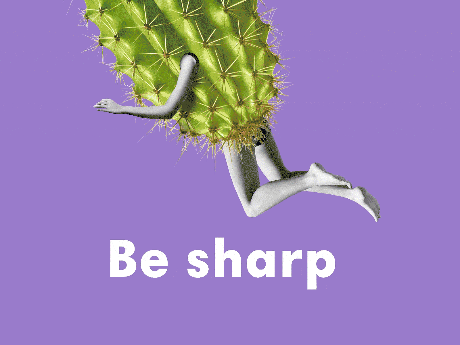 Sharp girl animation cactus chestnut collage graphic design illustration spikes thorns