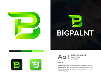 B Letter Logo | P Letter Logo | modern Logo | Letter Logo | 2021