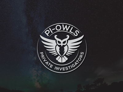 pi-owls branding design flat icon illustration logo type vector