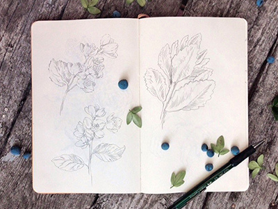 Sketch for pattern berries floral jasmine lineart moleskine photo sketch sketchbook