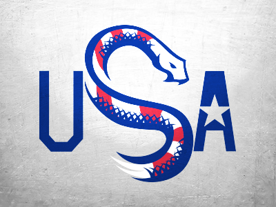 USA Soccer Concept dont tread snake soccer usa world cup