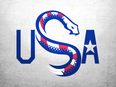 USA Soccer Concept