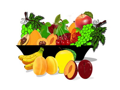 Fruits colors design fruits illustration vector web