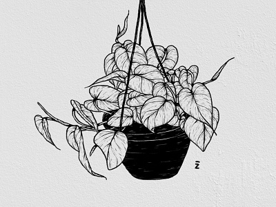 Flora 001 black and white botanical design flora illustration photoshop plants