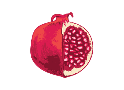pomegranate color digital drawing illustration illustrator pomegranate vector