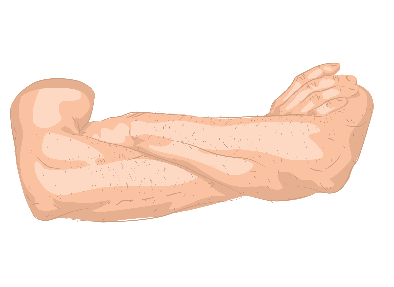 crossed arms by Alice Scripcariu on Dribbble