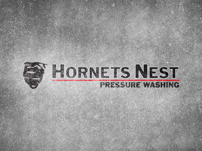 Hornet's Nest Pressure Washing | Logo identity logo pressure washing