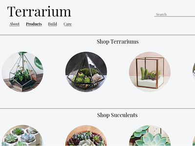 Terrarium design minimal ui ux web website