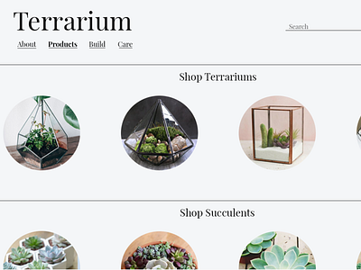 Terrarium