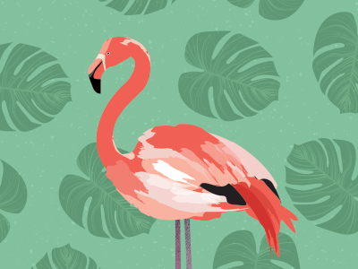 vintage flamingo clipart