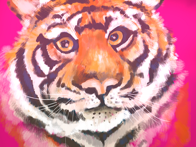 Pink Stripes animal digital painting drawing illustration ipad pro magenta mood procreate app sketching texture tiger