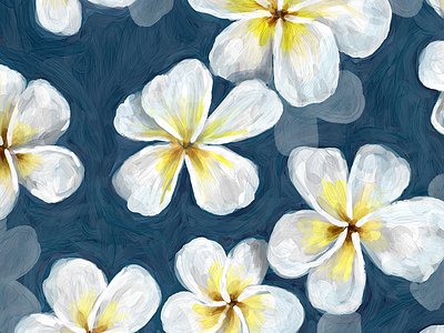 Sri-Lanka Plumeria adobe sketch brushes digital painting drawing flowers graphic design illustration ipad pro pattern design sketching texture