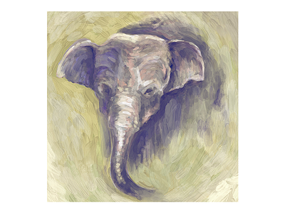 Ali adobe sketch animals design digital painting drawing elephant illustration ipad pro sketching texture