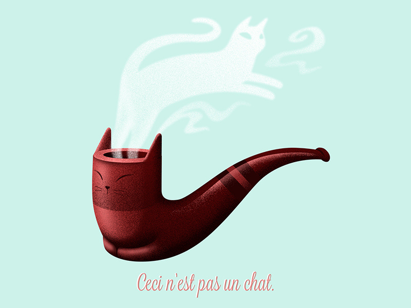 chat un an